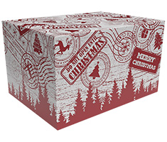 Geschenkdozen - Kerstpakketdozen