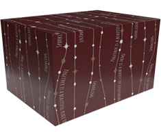 Geschenkdozen - Kerstpakketdozen
