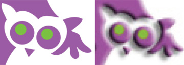 Vector- en Pixelbestand